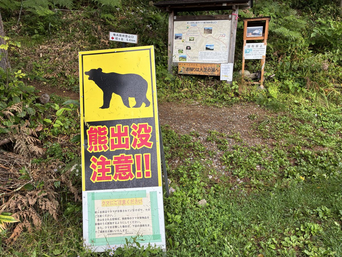 MountenG3180's tweet photo. 日本二百名山経ヶ岳登頂しました。
鹿島槍、五竜が天気悪いのでリスケからの中止です。
いい景色が眺められました。
一年に一度の山が百名山じゃないのは残念でしたが、次回、オールビューシステムを狙います。 https://t.co/ZNkVk4TxsE