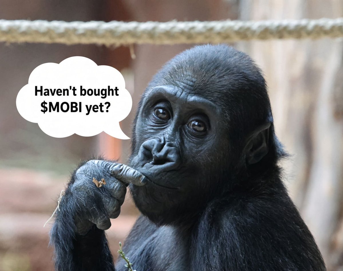 mobigorillafam's tweet photo. @theonomix @apecoin @LaunchOnSF https://t.co/ImfotSA2Of