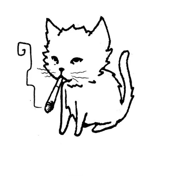 Ordinary_Abram's tweet photo. @PostofcatsX https://t.co/bSb4rskJBE