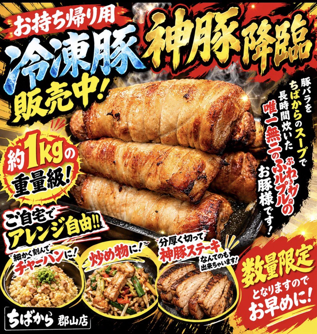 活動歴および当時の関連ビジュアル記録