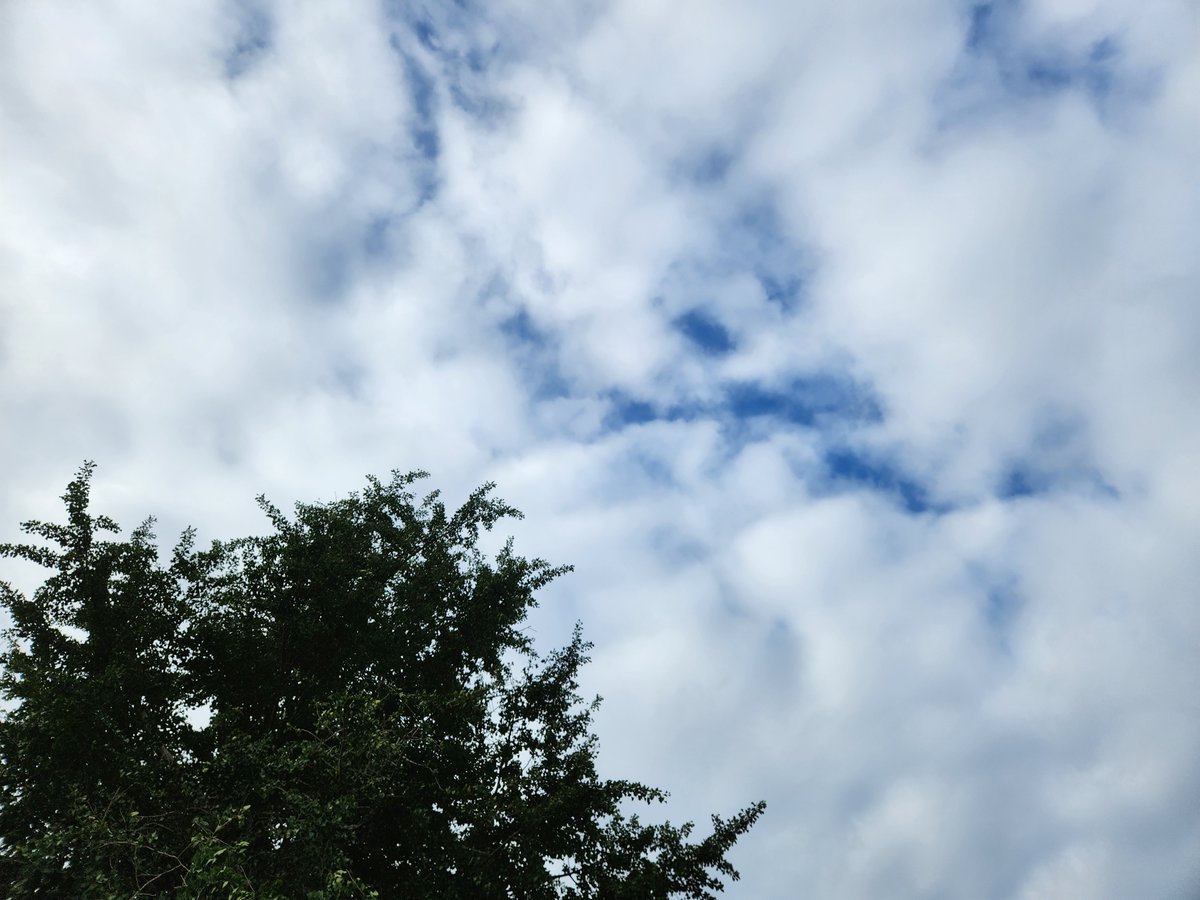 enjoy012345's tweet photo. 今日は曇り空でなんだかジメジメ
帰りまで天気持つといーなー

#イマソラ https://t.co/LwtsslyOr2