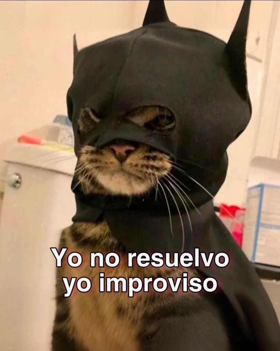 Animalesaprieto's tweet photo. https://t.co/XDzlOhCmEQ