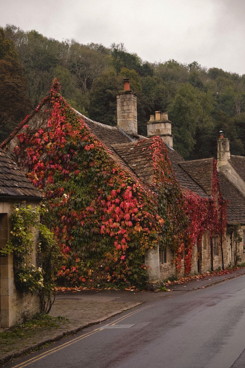 flower6260's tweet photo. Cotswolds, UK https://t.co/xE7JjJsH0w