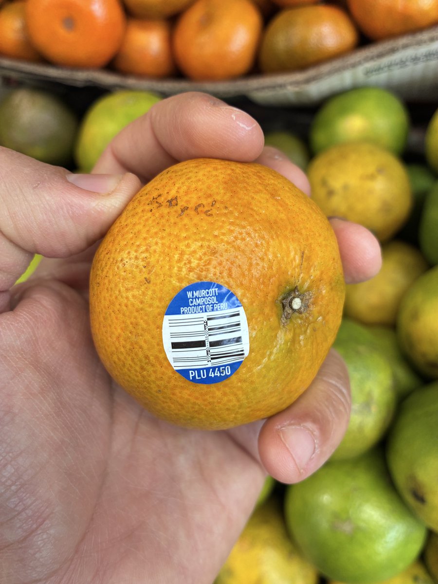 Dsanta_cruz's tweet photo. Llegó la temporada de mandarinas en México y mi sorpresa es que nos llegan de Perú, aunque ambos países tiene una producción similar (cada año se mueven entre el 12o y 14o sitio). Ccp @fabiolatorres https://t.co/8RjUcFhJGl