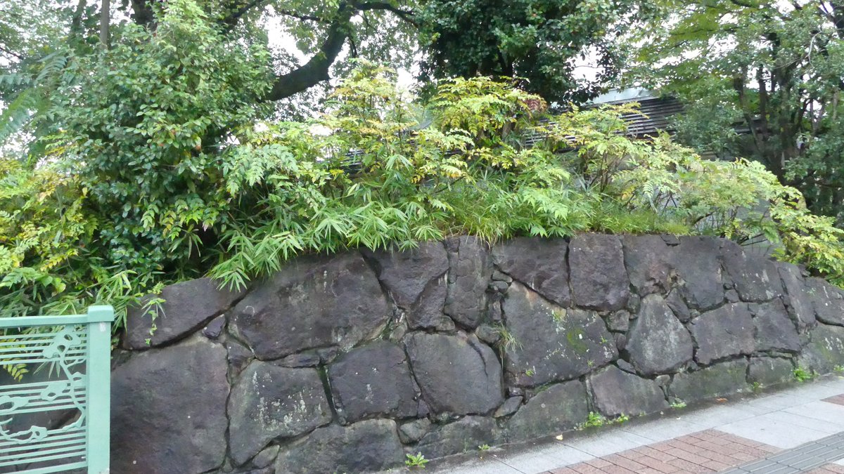 hide08277197's tweet photo. 高崎城
ホテルから近いので朝散歩
アプリのリア攻め位置が取れず小雨の中あちこち歩いてました
水堀廻れたのでちょうどよかったです https://t.co/ivcE1vB055