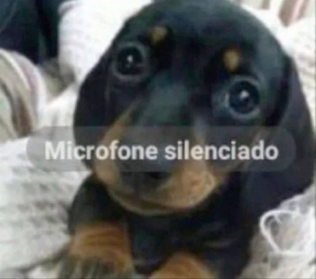 itzgabbis's tweet photo. @ticiadasilva_ eumandei um email explicando que eutinhq esquecido meu cartão e ele debitou automático e eu estornei uns 6 dias depois ok dai por conta diso eles alegaram suspeita de fraude como se eutivesse pago pra aproveitar e depois reembolsado pra usar sem pagar. https://t.co/bG2W0B258R