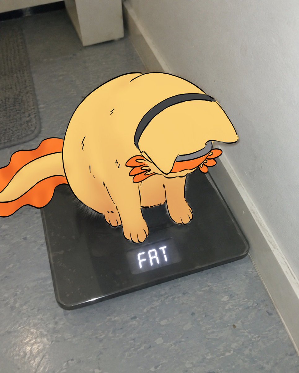 lorsor_sky's tweet photo. Fat axocat? https://t.co/tbkfLMRuXI