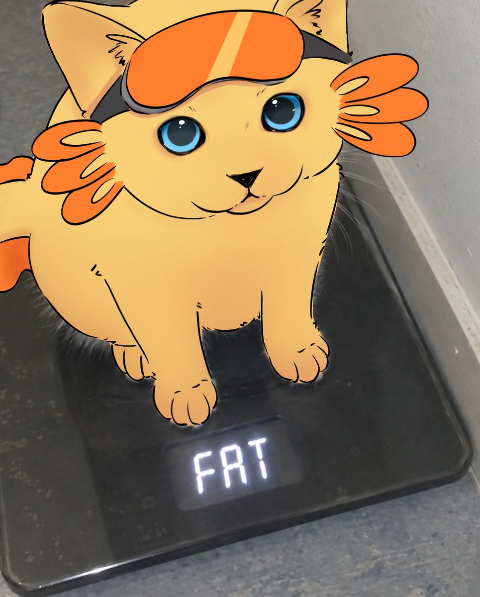 lorsor_sky's tweet photo. Fat axocat? https://t.co/tbkfLMRuXI