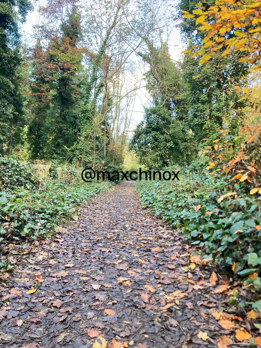 maxchinox's tweet photo. Give me a friend who is honest and straightforward even when it hurt, rather than someone who pretends to care while betraying me behind my back. At least honest leaves room for truth. https://t.co/INexfu35tq
