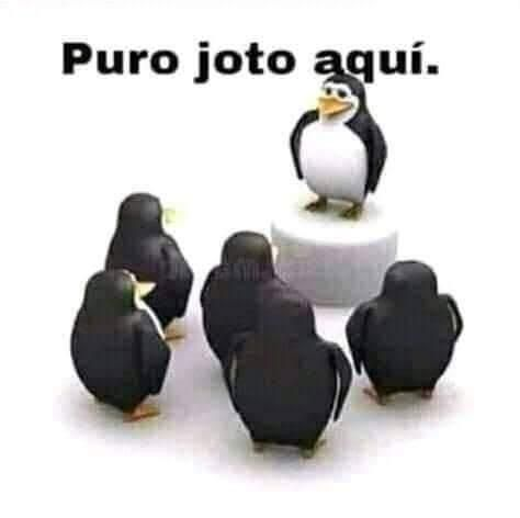 maria_gala_'s tweet photo. La tasa de fecundidad en CDMX en 0.9 solo confirma que https://t.co/QhUp8E8Agd