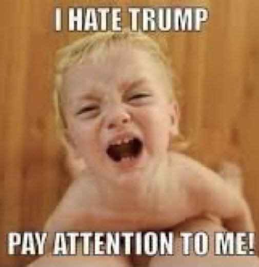 MAGAMountainMan's tweet photo. @DeepStormHQ https://t.co/PPAaAChFfB