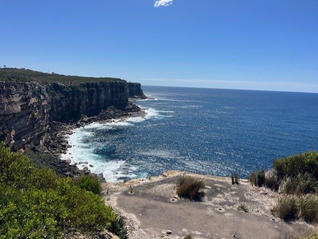 LydiaCLee's tweet photo. Whale watching on land in Sydney https://t.co/wgWlsKWWl8 #NorthHead https://t.co/14Sm1bfLqQ