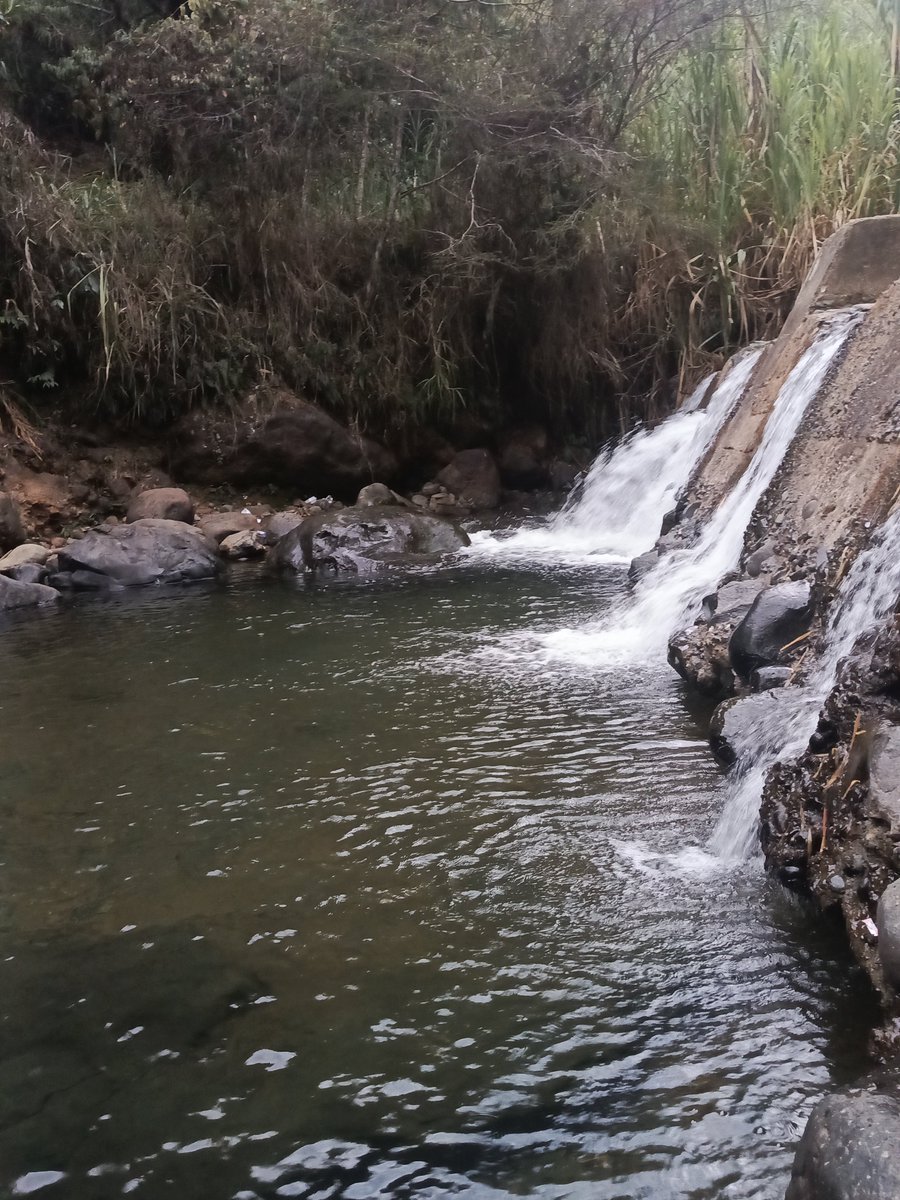 MekinKali's tweet photo. Que rico este río solito 🤤 https://t.co/faiaEPlOgJ