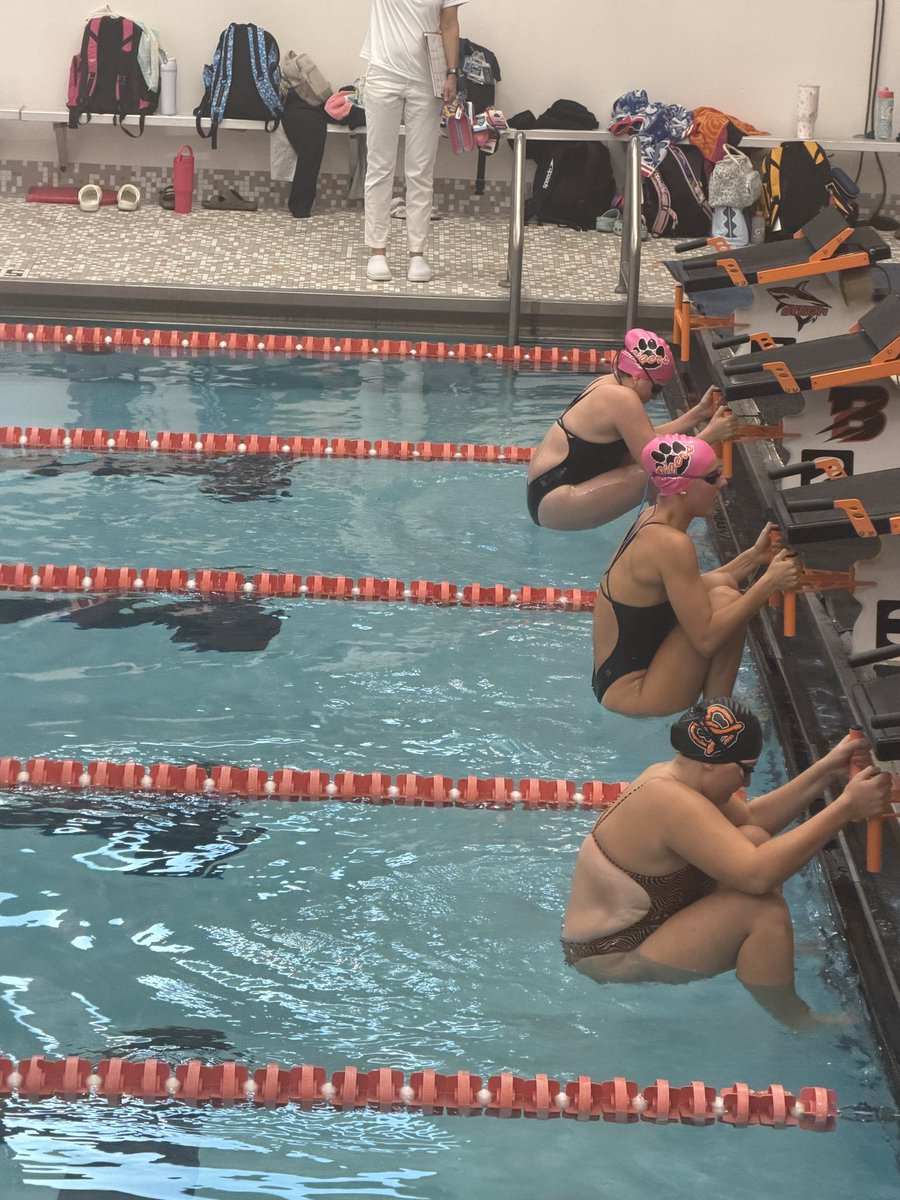 byronhsad's tweet photo. The Tigers defeated Freeport today in the natatorium!  #ByronTigers #TigerPride https://t.co/xWhegprkcS