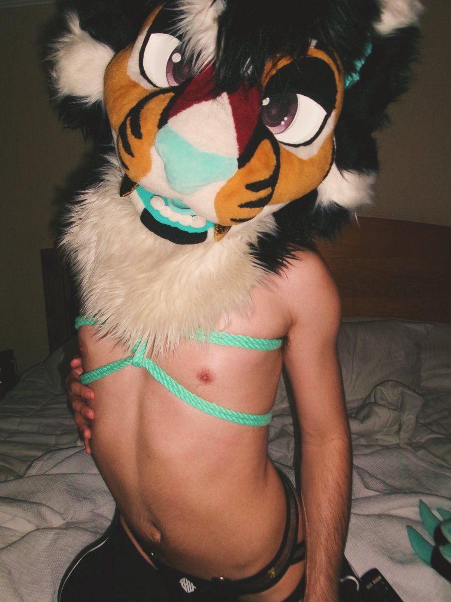 bass_slxt's tweet photo. Soft kitty https://t.co/PnoAJux6Yq
