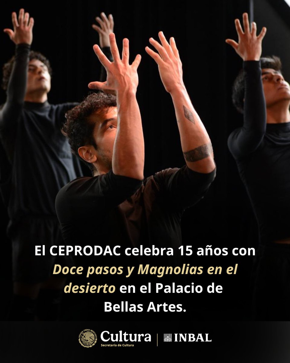 bellasartesinba tweet picture