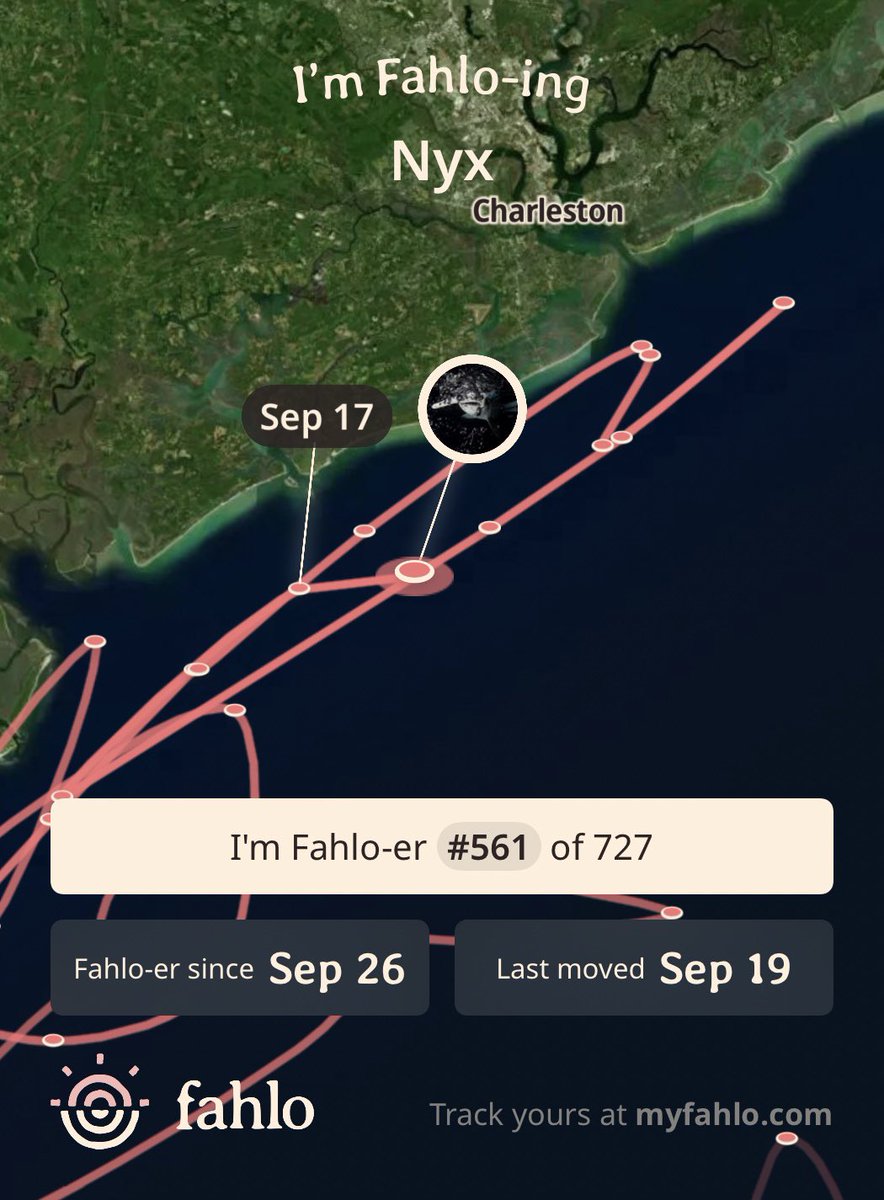 usachan0310's tweet photo. #Fahlo
アオウミガメ #Onati
シュモクザメ #Nyx
マッコウクジラ #Oslo
けっこう移動してるものだなぁ〜。 https://t.co/2e7ojjHiSB