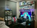 GeorgeLewion2c's tweet photo. Don't feel like my collection is good enough for a room tour yet, so here's a &amp;quot;corner tour&amp;quot; for now (feat. a LOT of Mikus)
#HouseMakeover #chaoenergy https://t.co/Kf0cjSjvoD