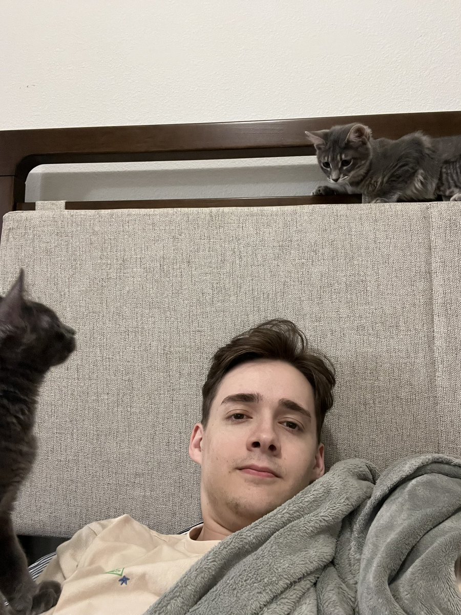 JacqueKeener's tweet photo. Brought them home a couple of weeks ago and they are my two best friends now https://t.co/8jifaqZetI