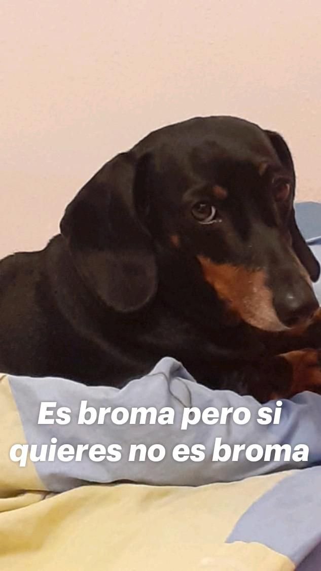 vancoco003's tweet photo. -Chicos quiero decirles que soy una 2da. Infiltrada y yo le heredó mi pase a la finl a ____ por que hoy, en este momento abandono la casa, por eso me arreglé bien "popof".

#MartesDeEliminaciónSorpresa
#MarianaOhoa
#LaCasaDeLosFamososMX
#EsUnAudioDeTiktok https://t.co/f2rTBmCEIV