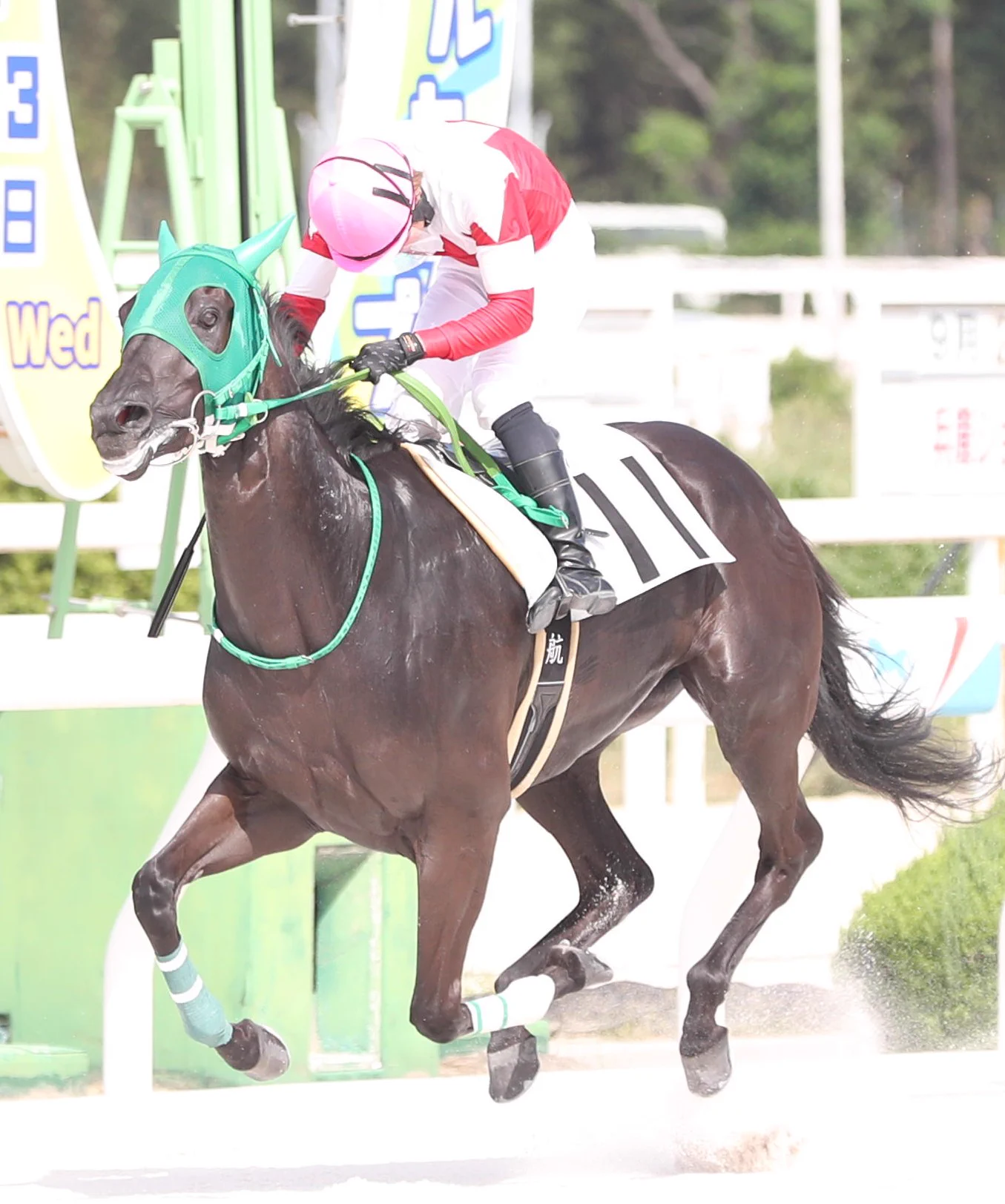 スポニチ競馬Web🐴 в X: „【#阪神アーバン競馬】 6Rでは #廣瀬航 騎乗