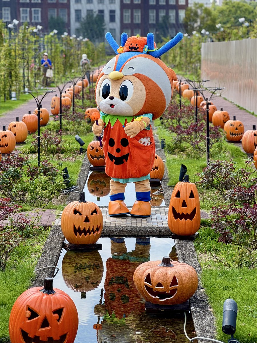vivikunfan's tweet photo. 🎃かぼちゃヴィヴィくん🎃 https://t.co/vMRvkeoK4g