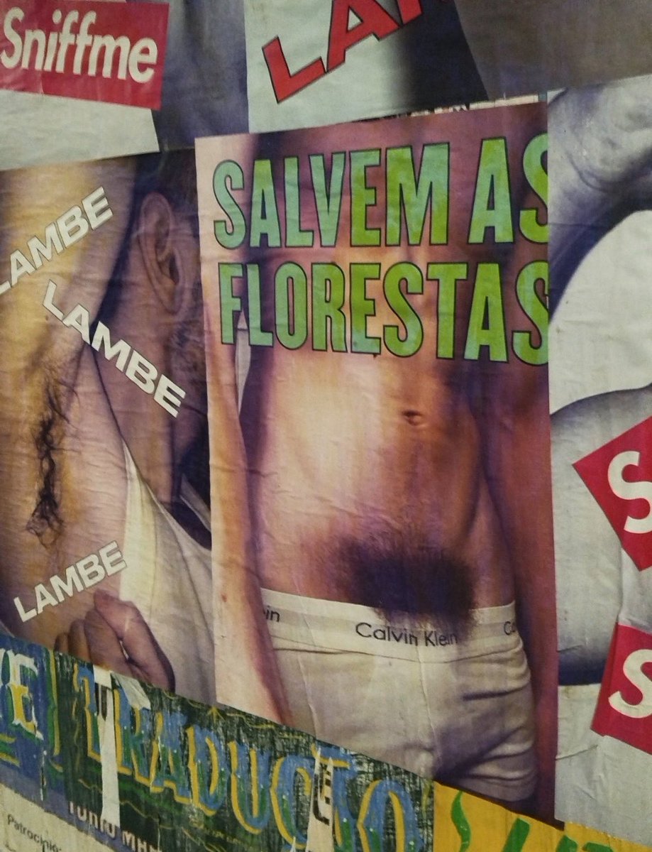 MLKAF1M18's tweet photo. Salvem as matas. https://t.co/sC4GCTD689