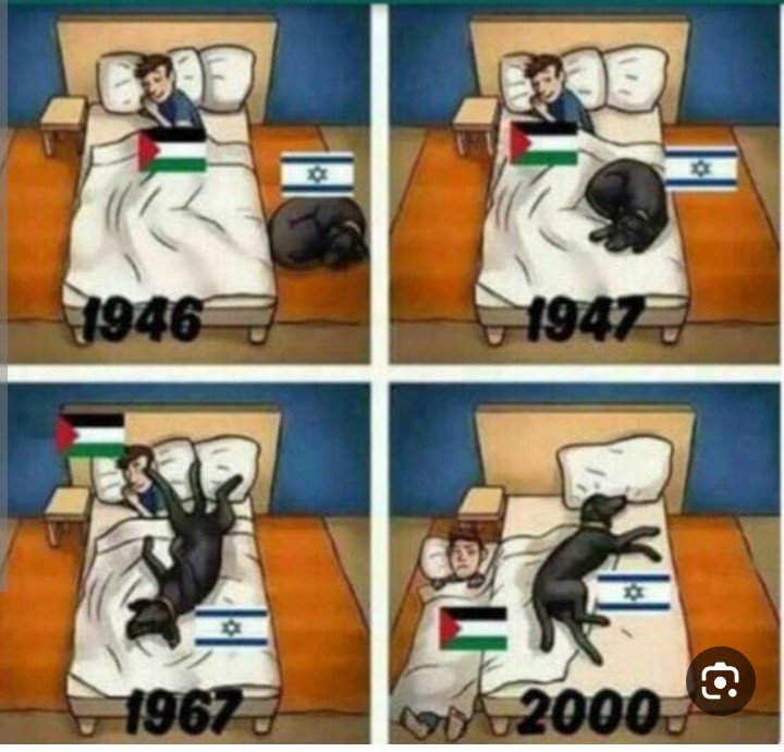 GREATARAB0's tweet photo. @Rose_Bonbon_55 @EmmanuelMacron تسرقون أرضهم و تقتلونهم و تدمرون بيوتهم !
هل تريد من الفلسطينيين أن يوزعوا ورد على المستوطنين !
#فلسطين 🇵🇸
#الضفة_الغربية 
#قطاع_غزة 
#رام_الله 
#نابلس 
#الخليل 
#طولكرم 
#قلقيلية 
#جنين 
#اريحا 
#القدس
#غزة
#FreePalestine
#Palestina 
#Palestine 
#Gaza https://t.co/fZfuoxESxh