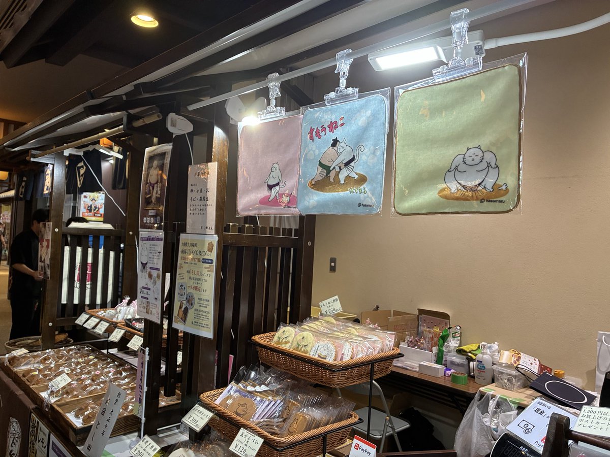sumo_neko's tweet photo. こんにちは、豆錦です🫛
連休最終日も雨ですね…☔️
江戸のれんでは、今日も入ってすぐ右手にミニタオルののれん！
とし田さんのお店でねこ関がお待ちしております(=^x^=)
シールも大人気です！ぜひお立ち寄りください。
とし田さんは千秋楽までの出店です🐾
#sumo #相撲 #とし田 #すもうねこ https://t.co/fDQkEEY4yU