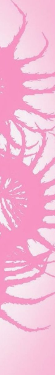 terrorcosmico_'s tweet photo. ⠀⠀⠀⠀⠀ ⠀ ⠀⠀
⠀⠀⠀⠀⠀ ⠀ ⠀⠀
⠀⠀⠀⠀⠀ ⠀ ⠀⠀°❀🐞⋆.ೃ࿔*:･ https://t.co/KZvTZfjgzL