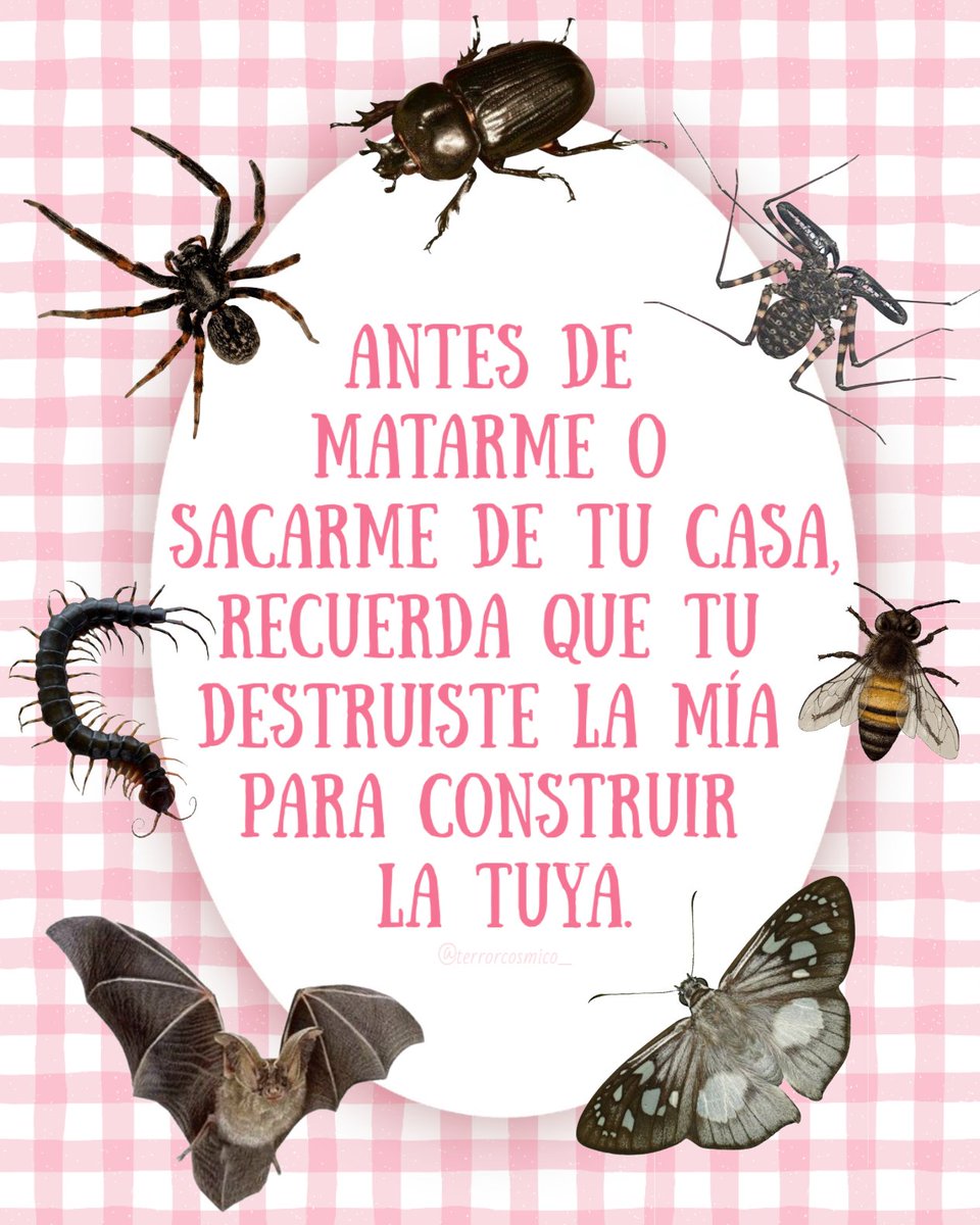 terrorcosmico_'s tweet photo. ⠀⠀⠀⠀⠀ ⠀ ⠀⠀
⠀⠀⠀⠀⠀ ⠀ ⠀⠀
⠀⠀⠀⠀⠀ ⠀ ⠀⠀°❀🐞⋆.ೃ࿔*:･ https://t.co/KZvTZfjgzL