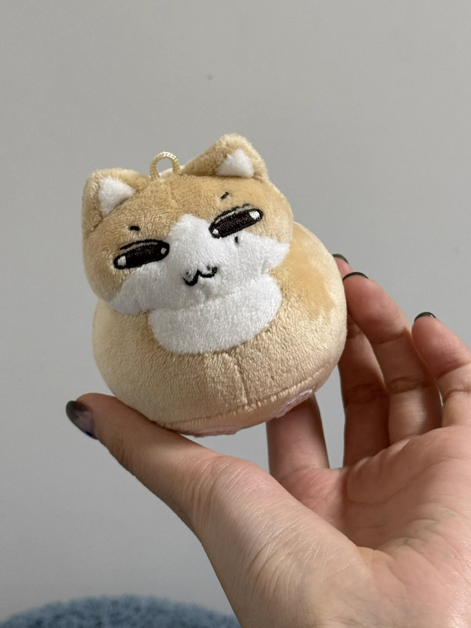 Kmi🧸ྀིJPGO on X: 