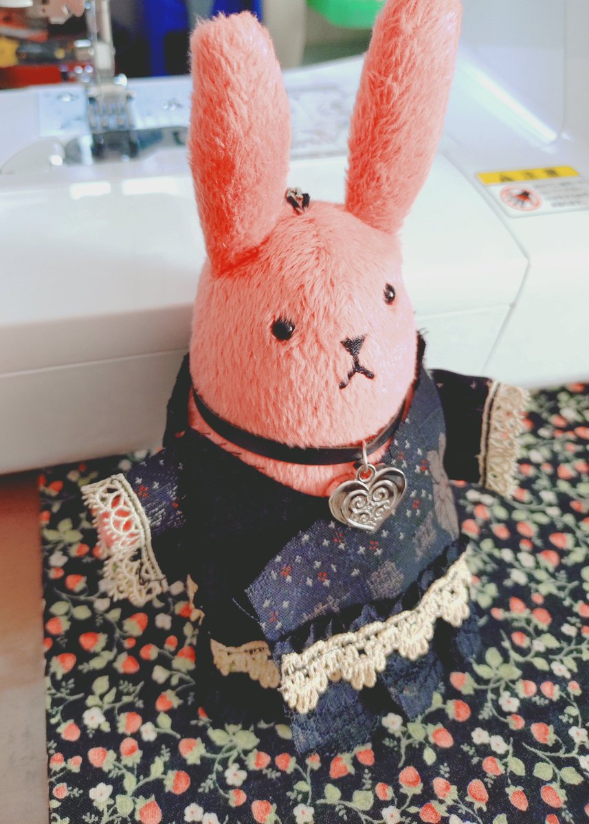 prochihaya's tweet photo. お袖付くと着物っぽくなるね😆 https://t.co/j9NHX3B7FQ