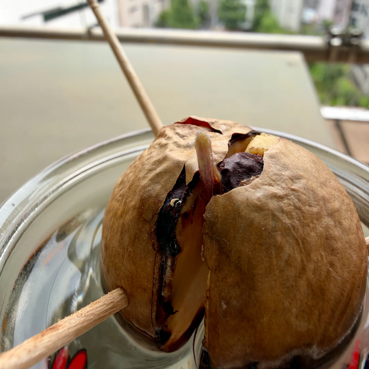 【一点物】アボカド（種）とパラフィンジェルで作った「清涼 金魚鉢」 瀬木 貴正♫本業は常務戸締役のぽんこです on X: 