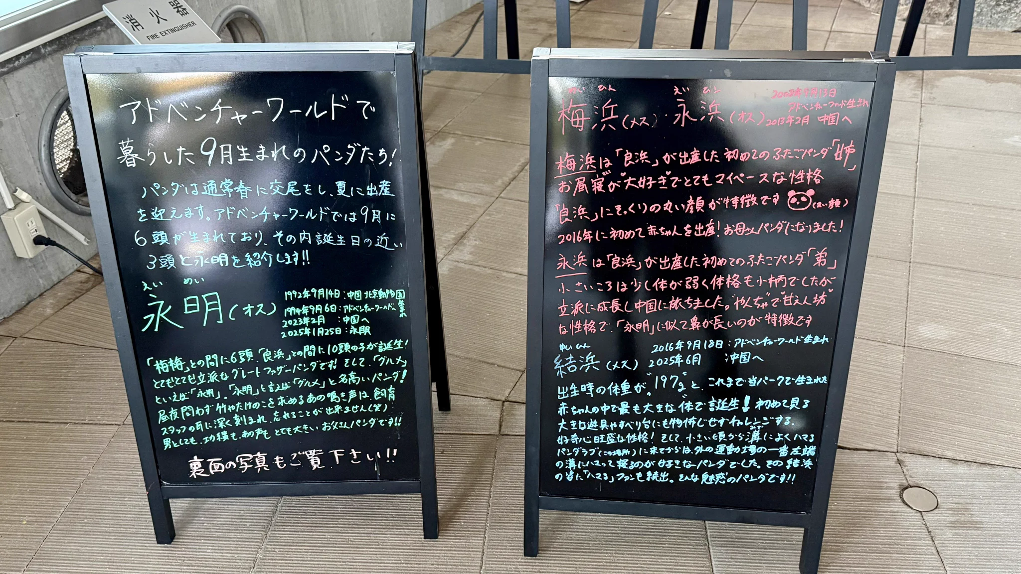 佐藤楓@だららんぱんだ on X: 