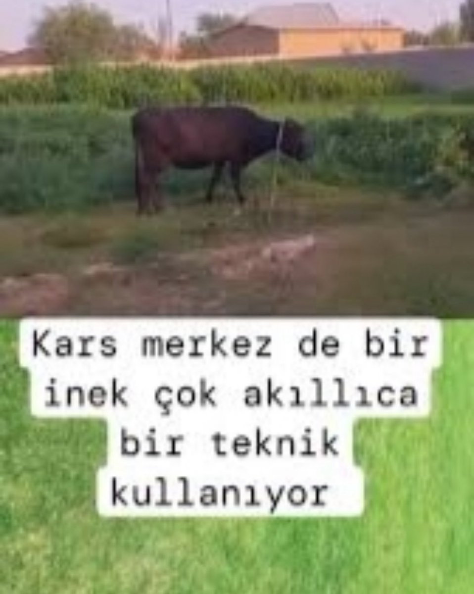 Gecu3's tweet photo. @bosunatiklama https://t.co/g9xnbPbUBc