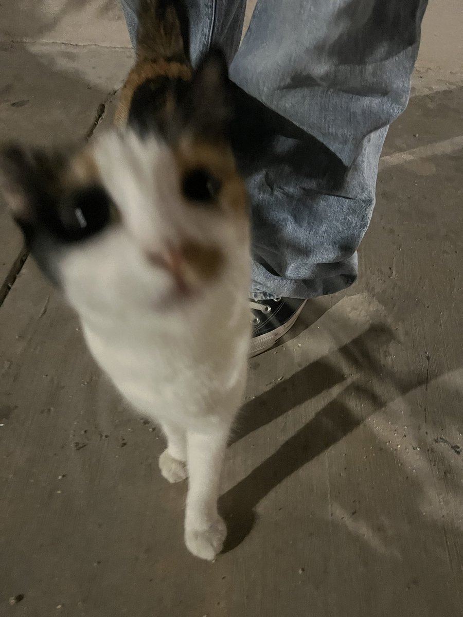 ryuhqz's tweet photo. este pelón me hace la persona más feliz cada que lo veo :c lo kiero muchísimo https://t.co/jFx3PGzvkr