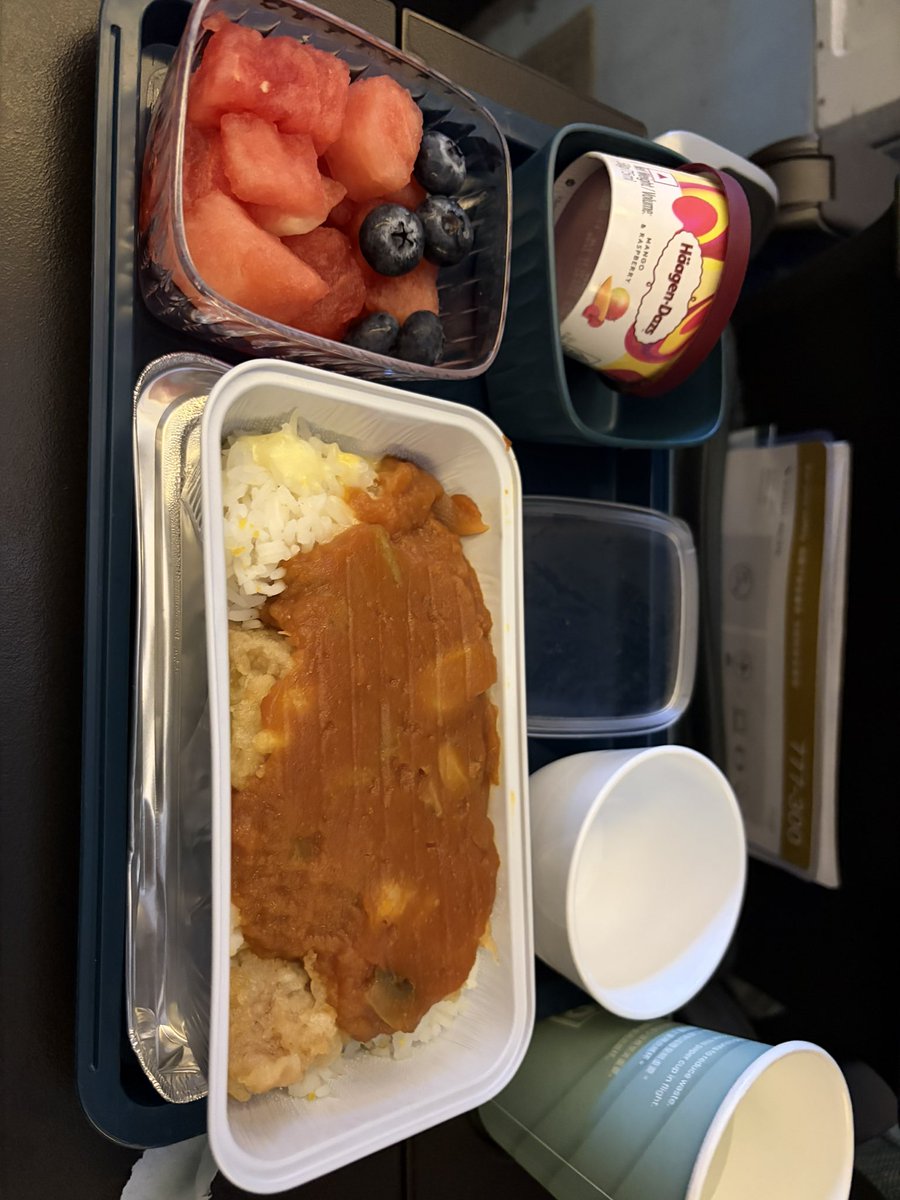 KeiKtrvl's tweet photo. 香港からホーチミンへ向かう機内食、「チキンorポーク」とのことで、なるべくチーズが入っている可能性が低そうなポークを注文！

結果、しっかりこの茶色の下にチーズが敷き詰められてました😑

マジで、いい加減、食材じゃなくて料理名で選択肢を提示してくれ！
（これの料理名は分かりませんが） https://t.co/w9zPpBfbui