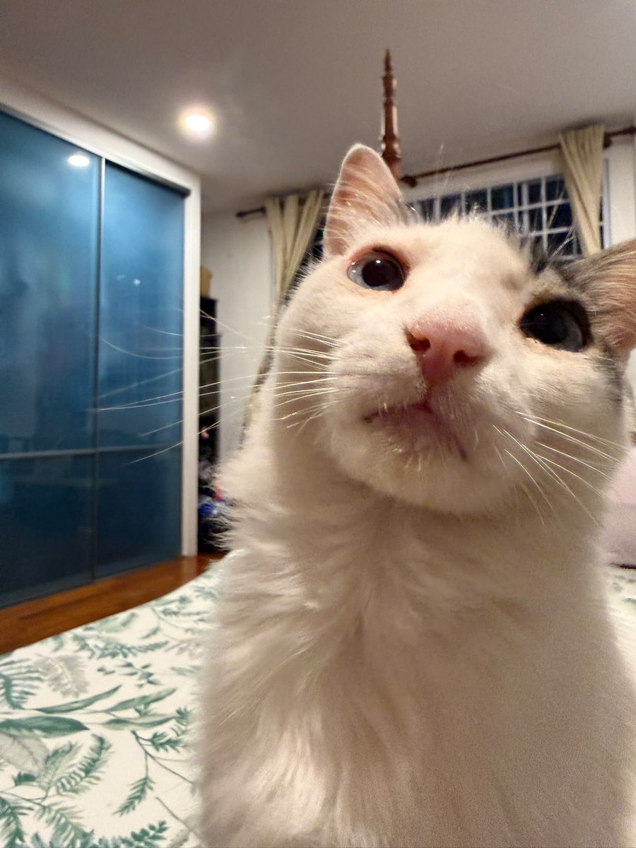 AeroAph_'s tweet photo. he looks like he's on the verge of tears here https://t.co/rRKzmGyOU9