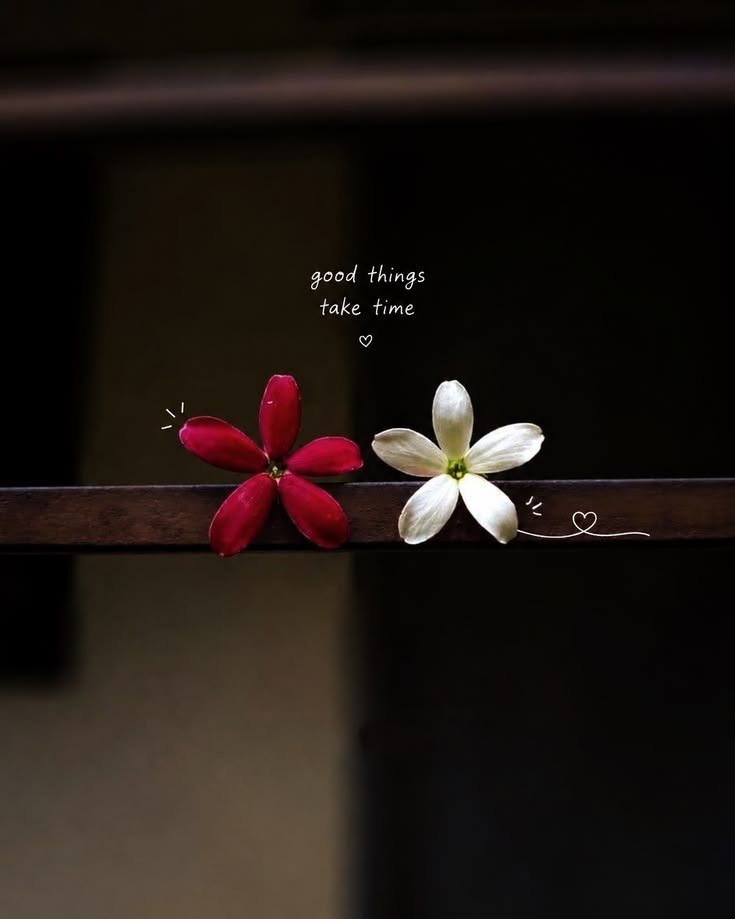 Mora_Writes's tweet photo. Happy Morning🥰 https://t.co/n3WhfmoXlw