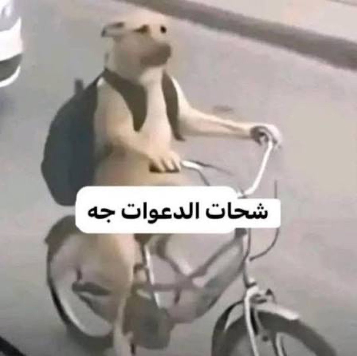cnvemr's tweet photo. سمعت فيه أجر بالبث قمت أنسخ الحمدلله والصلاه على النبي من رولا بس عشان اللحق أرسل https://t.co/QnkEkeIUoo