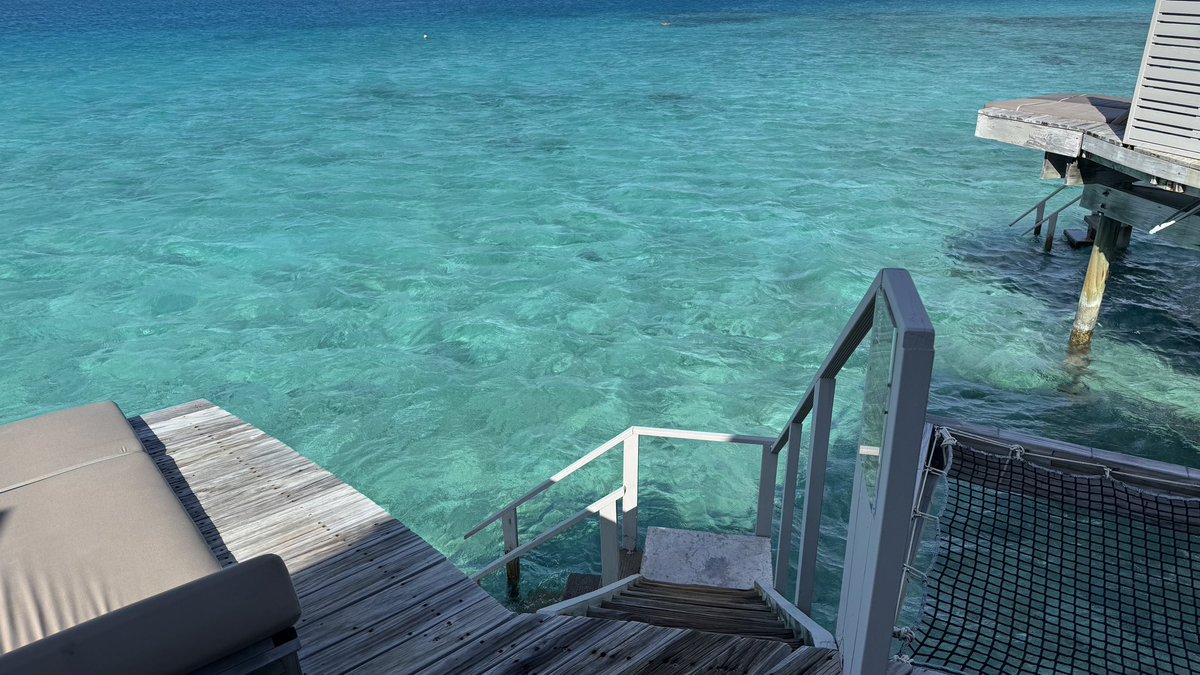 m69626's tweet photo. I love Maldives❤️
🤿🦈🐟🏄‍♀️🐳🐠🐬 https://t.co/mrtuWPstqm