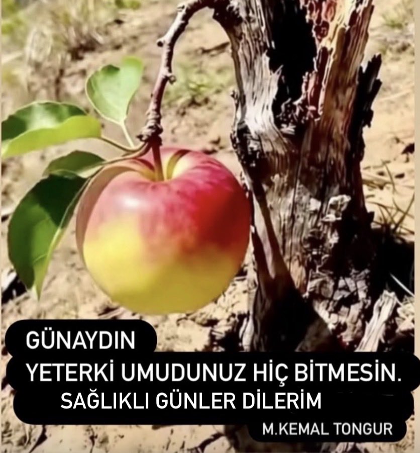 tongur07's tweet photo. @YilmazTunca06 @mustafaozdemr07 https://t.co/yOtg37A3VR