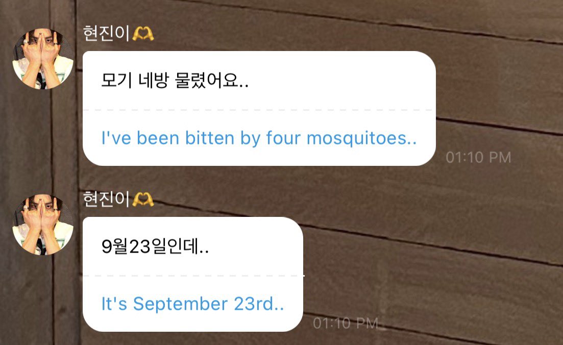 havenfiIm's tweet photo. 🥟🫧 1:10PM KST

: i’ve been bitten by four mosquitoes..
: it’s september 23rd though.. https://t.co/OtKLePXAwf