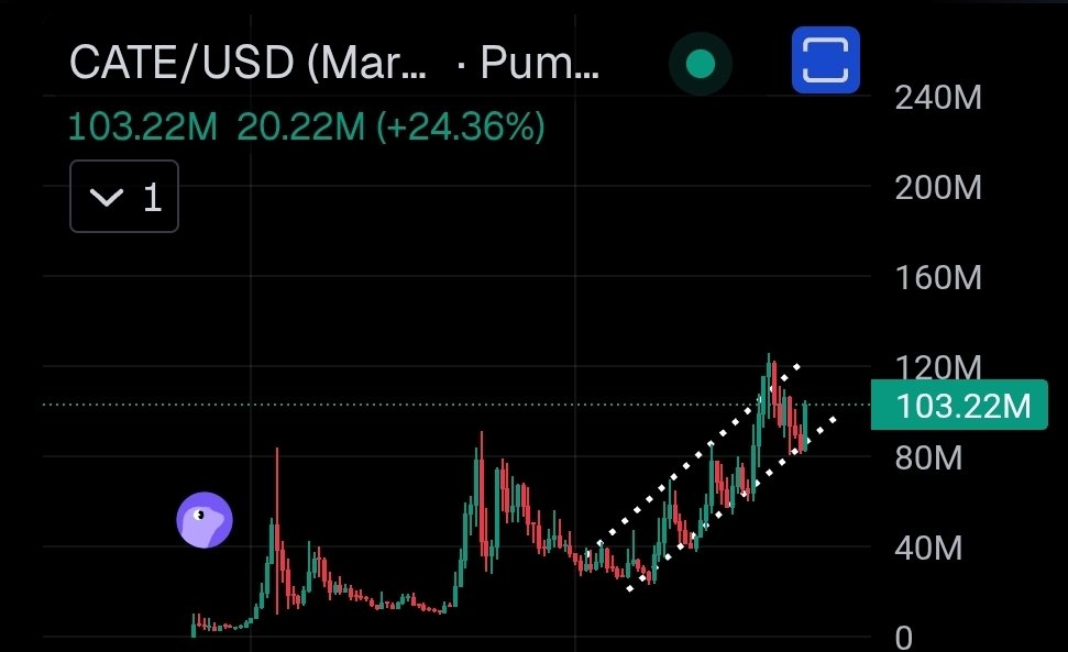 Bluntz_Capital's tweet photo. this slow orderly channeled grind up on $CATE are what dreams are made of.

next push up goes full blown parabolic imo. 

also holders have been steadily increasing, up from 118k in the QT to 136k now, up 18000 in 12 days. https://t.co/M7VWmchfvI