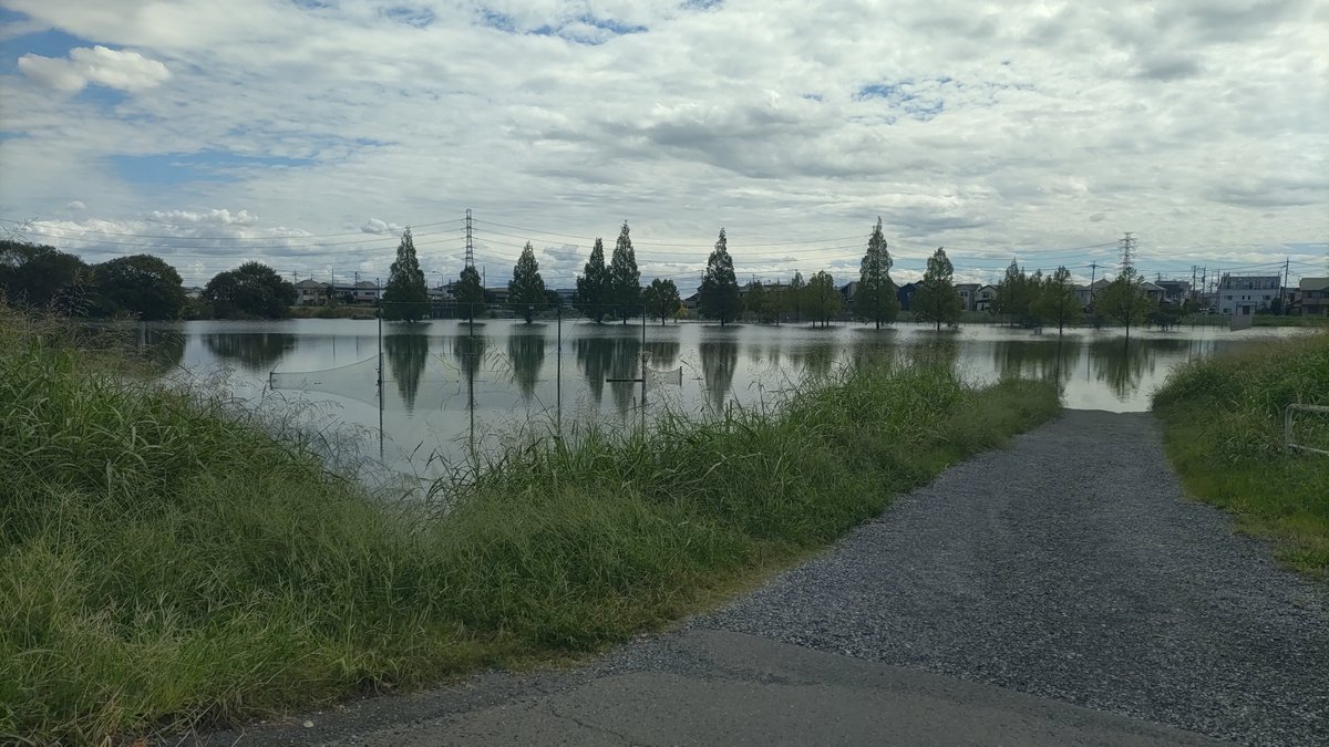 okui091's tweet photo. 秋を感じるサラサラ小雨模様☔️
散歩に行くか迷う絶妙な天気…
「午前中に行けば良かった！」とちょっと後悔中😅

​写真は昨日11時ごろに撮った吉川運動公園。
19日に投稿した写真よりも水位が高い！
しっかり調整池の役割を果たしてくれています🌊
​#お散歩でゴミ拾い #吉川市 #吉川運動公園 https://t.co/5qBaLAeO58