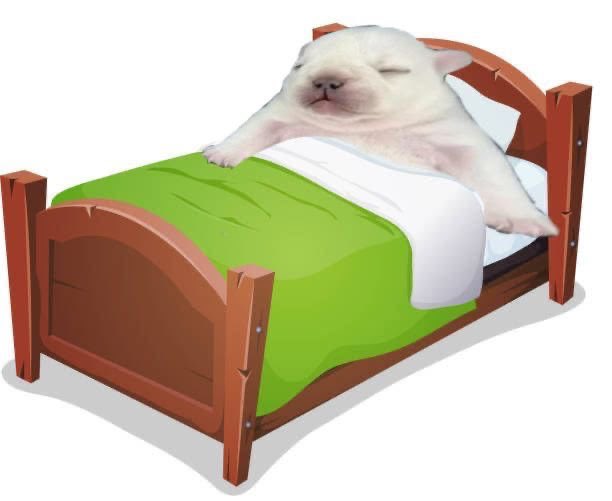 Almticks's tweet photo. Hasta mañana princesit@s nos vemos mañana, un nuevo día una nueva tortura 💜 https://t.co/RsufzsHi77