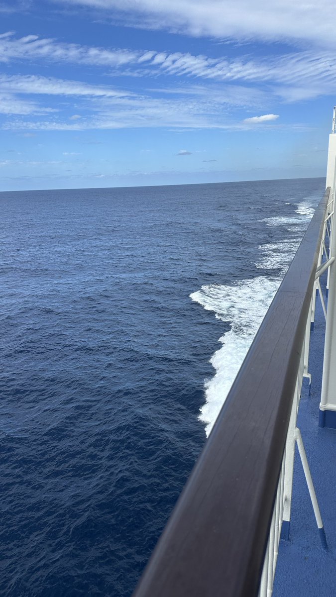taxtoshi's tweet photo. 今回の北海道旅行(馬見学旅行)も終わりで、再びフェリーに軟禁中です😂⛴️

ベレシート🐎、スマイルライズ🐎、キュールエサクラ25🐎、デュアルネイチャー25🐎、ナイセスト25🐎、シャイニングソード🐎、ジェラルディーナ25🐎等、沢山の馬を見せて頂きました

牧場関係者の皆様��りがとうございました🙇‍♂️ https://t.co/rXbcNdBUxt