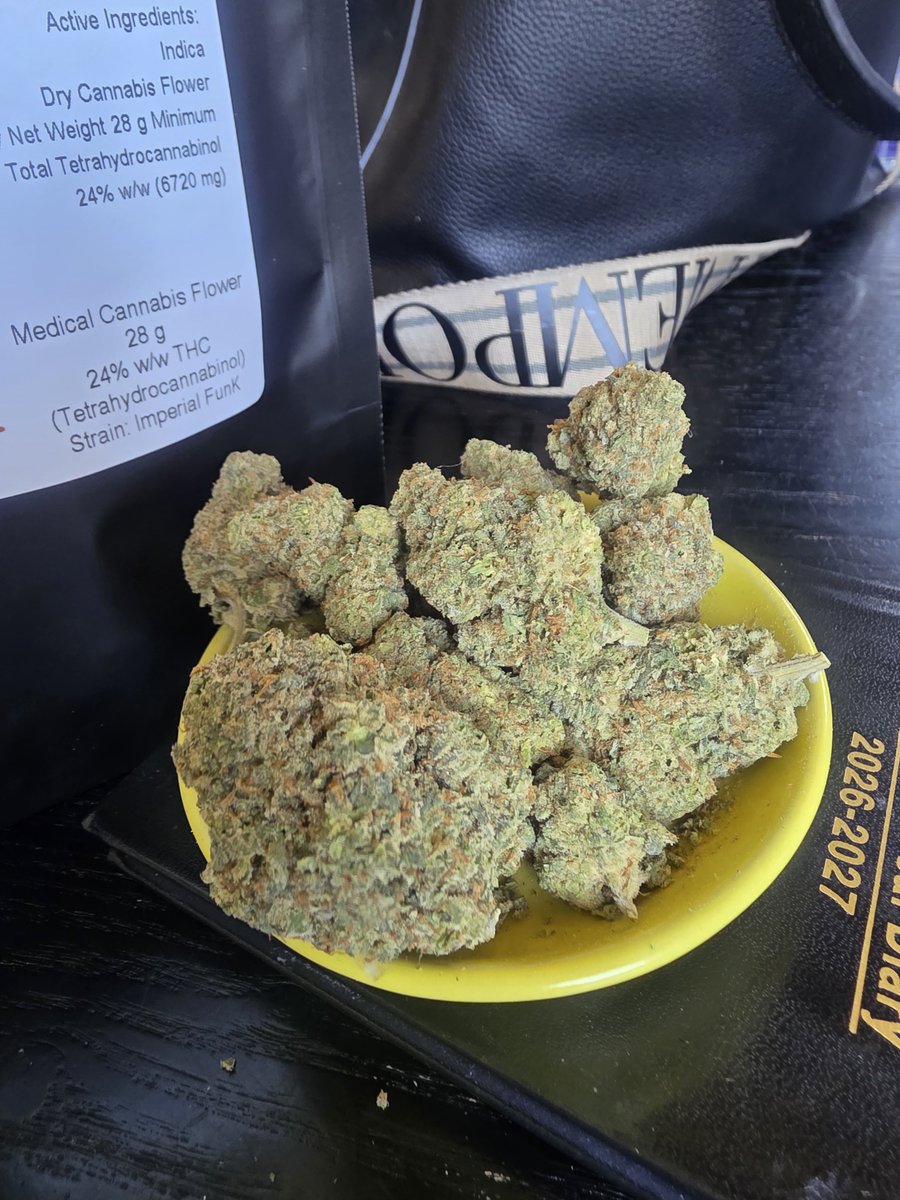 cryptobarbie24's tweet photo. Imperial funk 24% indica  ⛽🍊
Effects: A deep physical stone, tranquil mindset and a smooth, long-lasting high. Perfect for those late-night sessions when you’re ready to switch off and unwind. 🌙✨ https://t.co/XN58bteh9D