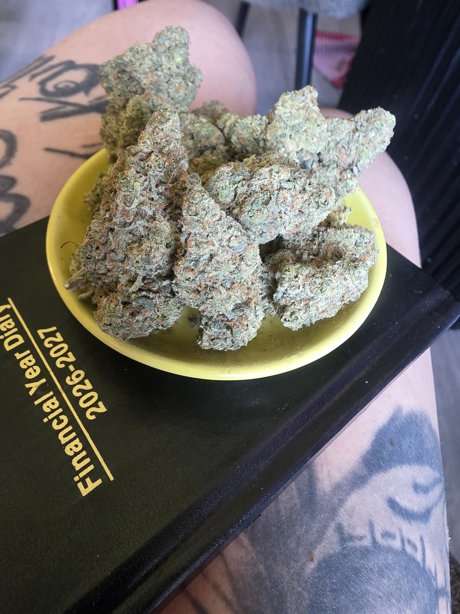 cryptobarbie24's tweet photo. Imperial funk 24% indica  ⛽🍊
Effects: A deep physical stone, tranquil mindset and a smooth, long-lasting high. Perfect for those late-night sessions when you’re ready to switch off and unwind. 🌙✨ https://t.co/XN58bteh9D